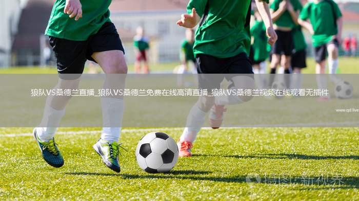 狼队VS桑德兰直播_狼队VS桑德兰免费在线高清直播_狼队VS桑德兰视频在线观看无插件