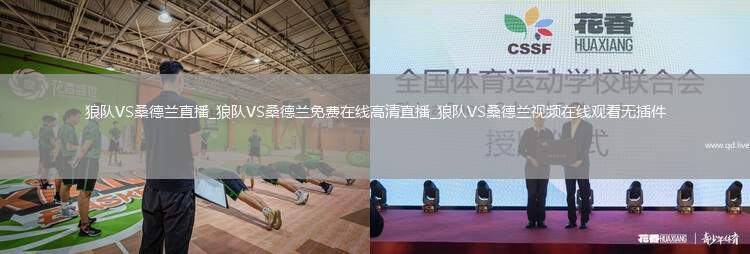 狼队VS桑德兰直播_狼队VS桑德兰免费在线高清直播_狼队VS桑德兰视频在线观看无插件