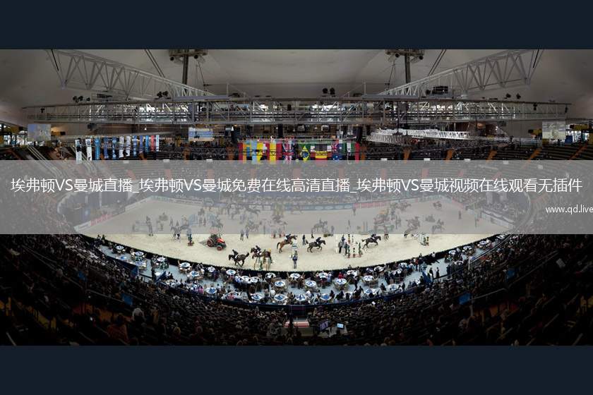 埃弗顿VS曼城直播_埃弗顿VS曼城免费在线高清直播_埃弗顿VS曼城视频在线观看无插件